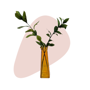 an image of a plant